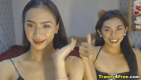 Asian Shemale gets fucked by another asian shemale