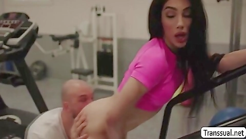 Horny Shemale Get Her Ass Licked And Barebacked By Gym Buddy